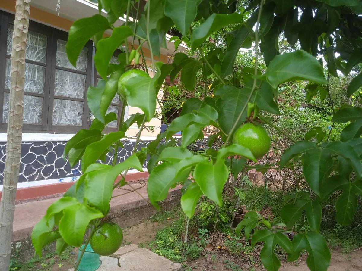 Sanaya Homestay Tangalle Exterior foto